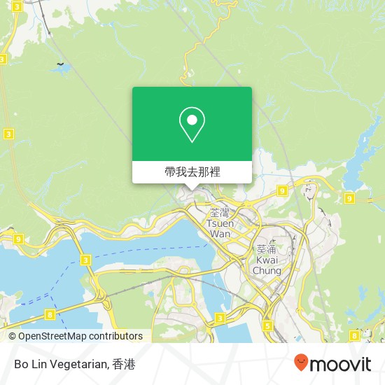 Bo Lin Vegetarian, Castle Peak Rd - Tsuen Wan 398地圖