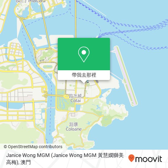 Janice Wong MGM地圖