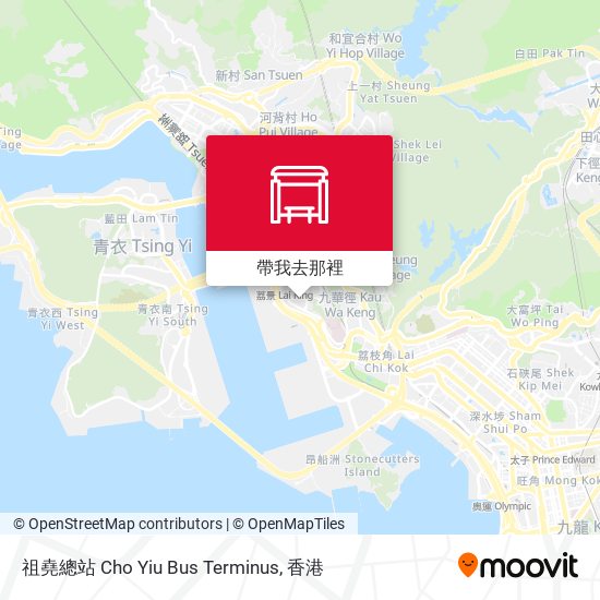 祖堯總站 Cho Yiu Bus Terminus地圖