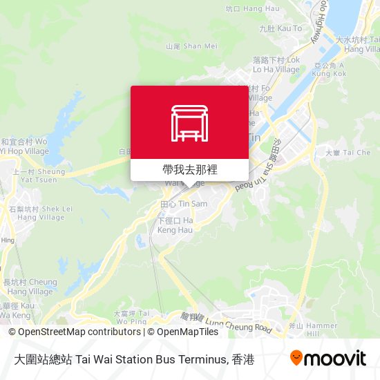大圍站總站 Tai Wai Station Bus Terminus地圖