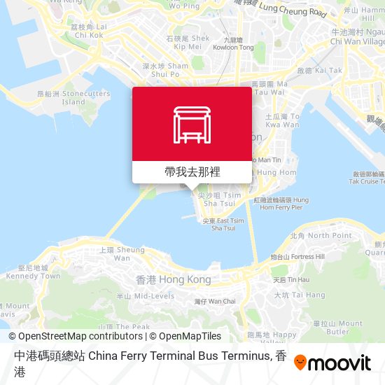 中港碼頭總站 China Ferry Terminal Bus Terminus地圖