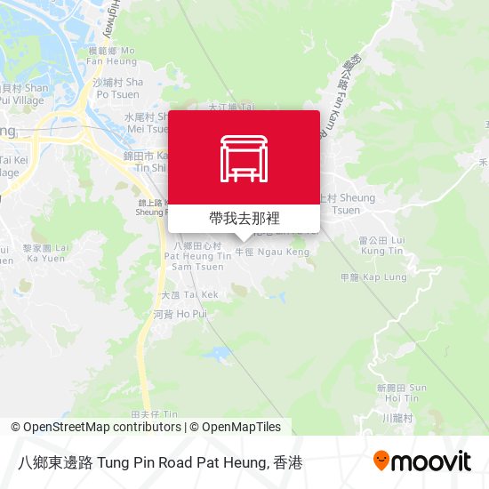 八鄉東邊路 Tung Pin Road Pat Heung地圖