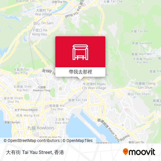大有街 Tai Yau Street地圖