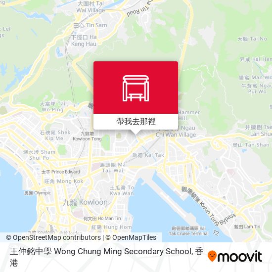 王仲銘中學 Wong Chung Ming Secondary School地圖