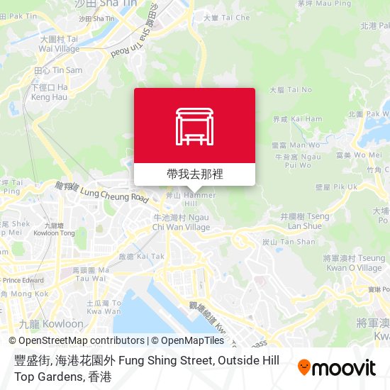 豐盛街, 海港花園外 Fung Shing Street, Outside Hill Top Gardens地圖