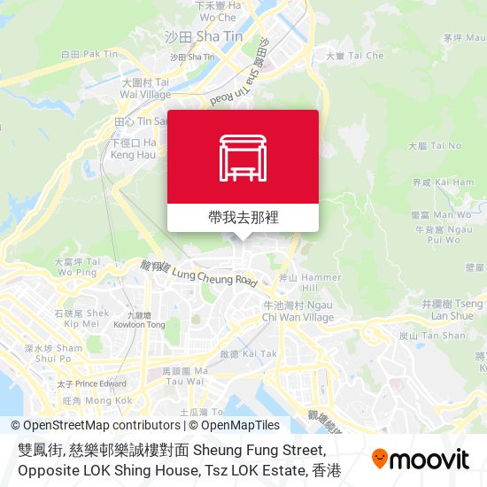 雙鳳街, 慈樂邨樂誠樓對面 Sheung Fung Street, Opposite LOK Shing House, Tsz LOK Estate地圖