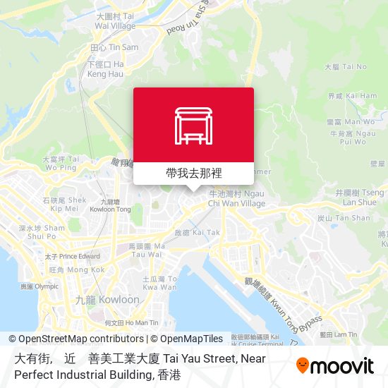 大有街,　近　善美工業大廈 Tai Yau Street, Near Perfect Industrial Building地圖
