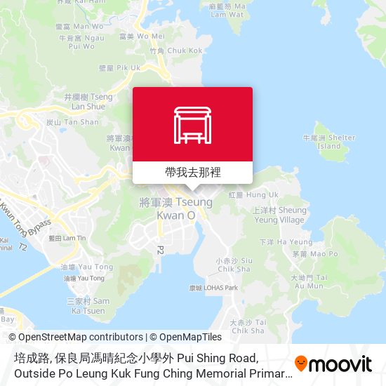 培成路, 保良局馮晴紀念小學外 Pui Shing Road, Outside Po Leung Kuk Fung Ching Memorial Primary School地圖