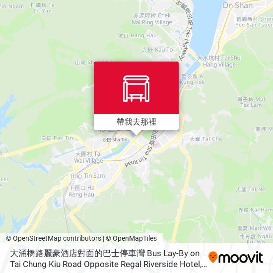 大涌橋路麗豪酒店對面的巴士停車灣 Bus Lay-By on Tai Chung Kiu Road Opposite Regal Riverside Hotel地圖
