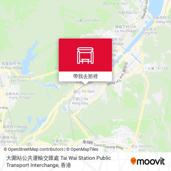 大圍站公共運輸交匯處 Tai Wai Station Public Transport Interchange地圖
