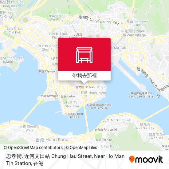 忠孝街, 近何文田站  Chung Hau Street, Near Ho Man Tin Station地圖
