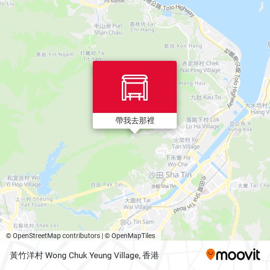 黃竹洋村 Wong Chuk Yeung Village地圖