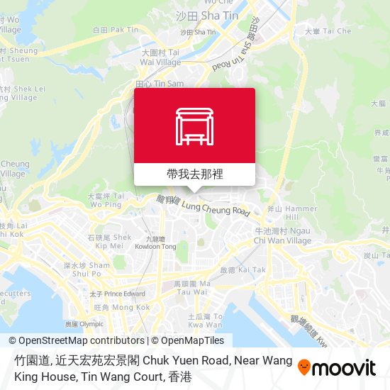 竹園道, 近天宏苑宏景閣 Chuk Yuen Road, Near Wang King House, Tin Wang Court地圖
