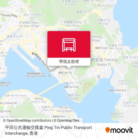 平田公共運輸交匯處 Ping Tin Public Transport Interchange地圖