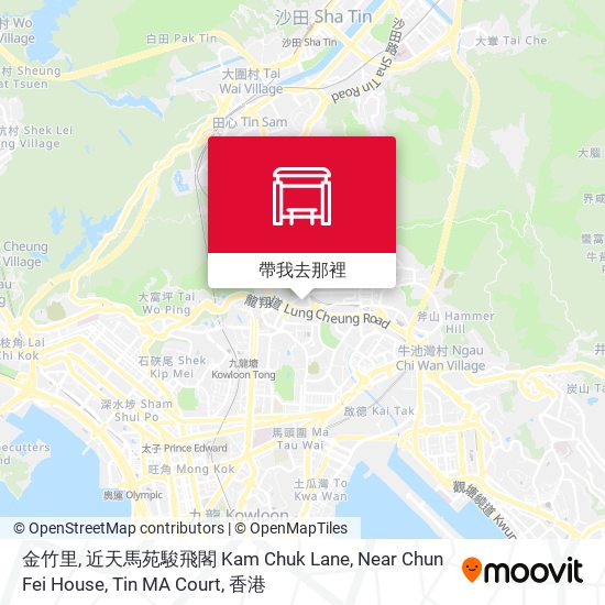 金竹里, 近天馬苑駿飛閣 Kam Chuk Lane, Near Chun Fei House, Tin MA Court地圖
