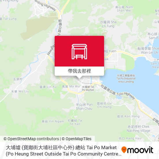 大埔墟 (寶鄕街大埔社區中心外) 總站 Tai Po Market (Po Heung Street Outside Tai Po Community Centre) Terminus地圖