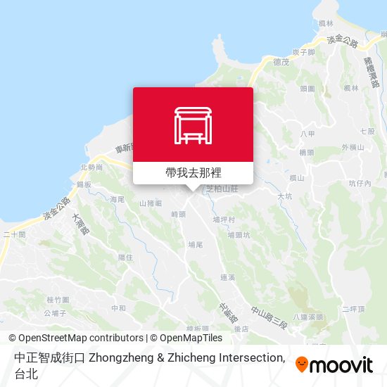 中正智成街口 Zhongzheng & Zhicheng Intersection地圖