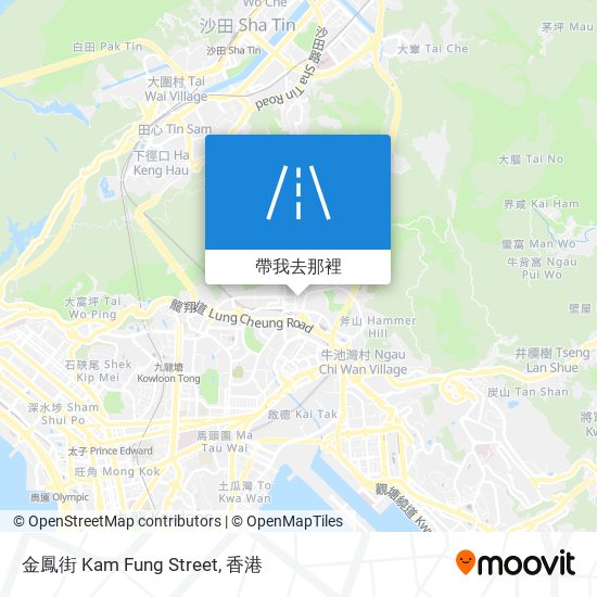 金鳳街 Kam Fung Street地圖