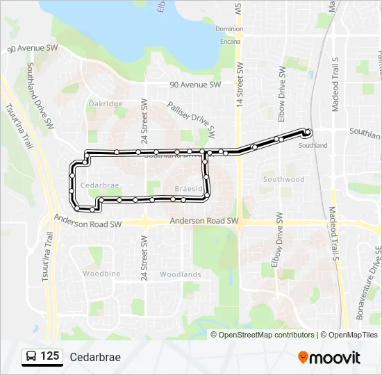 125 Bus Line Map