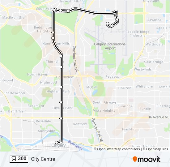 300 Bus Line Map