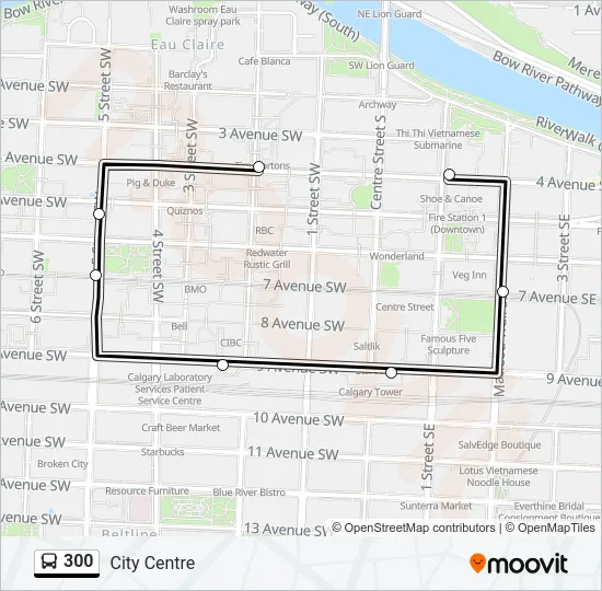 300 Bus Line Map