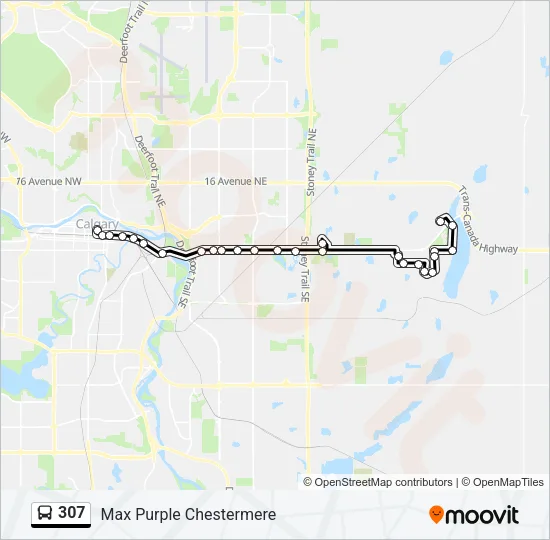 307 Bus Line Map