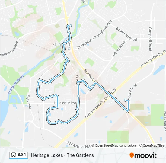 A31 Bus Line Map