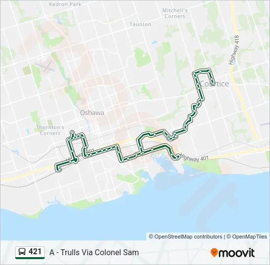 421 Bus Line Map