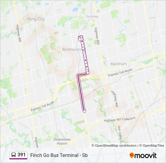 391 Bus Line Map