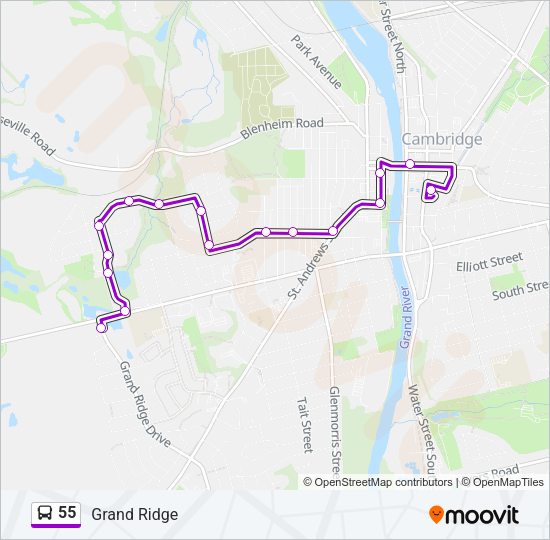 55 Bus Line Map