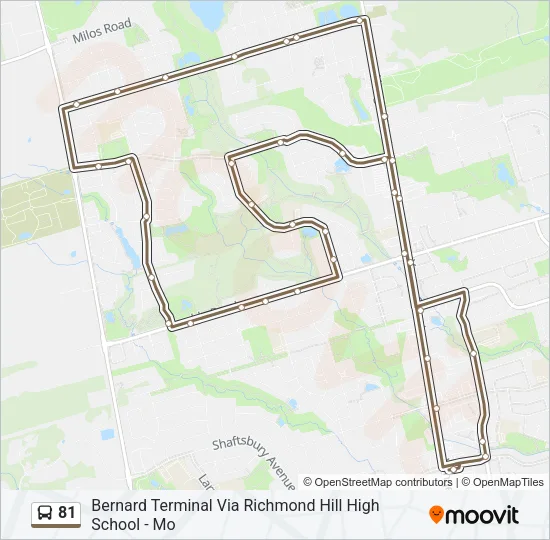 81 Bus Line Map