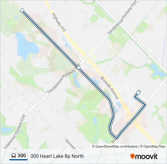 300 Bus Line Map