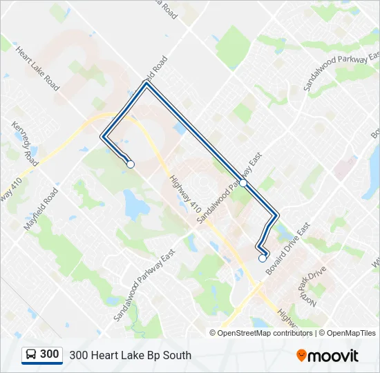 300 Bus Line Map