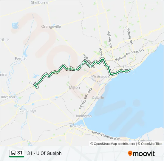 31 Bus Line Map