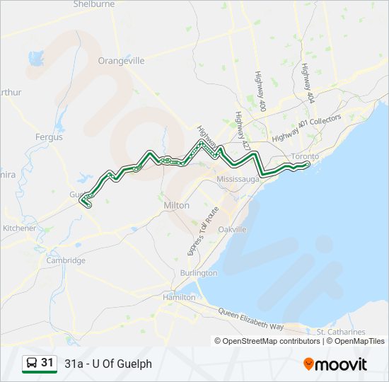 31 bus Line Map