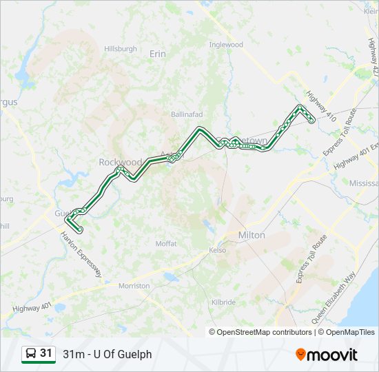 31 Bus Line Map