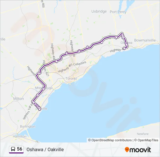 56 Bus Line Map
