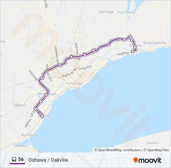 56 Bus Line Map
