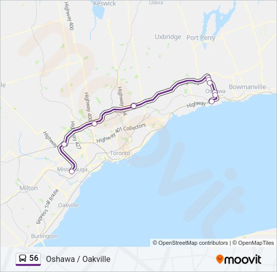 56 Bus Line Map