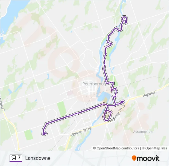 7 Bus Line Map