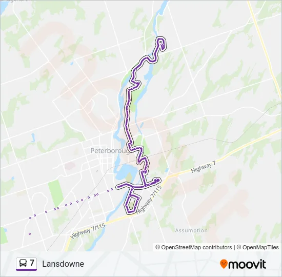 7 Bus Line Map