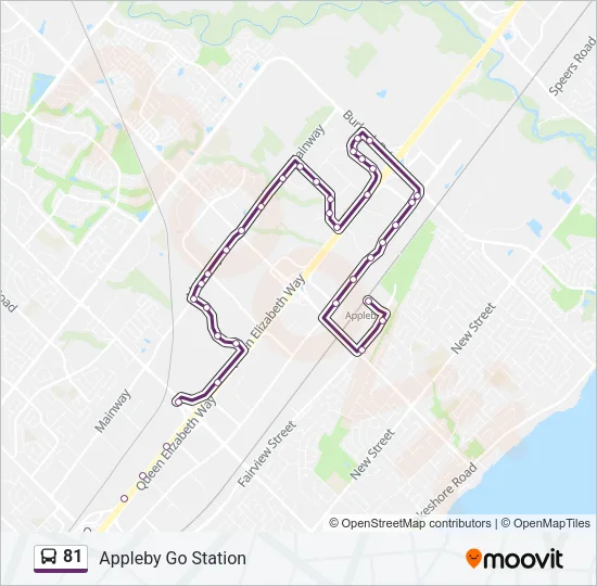 81 Bus Line Map