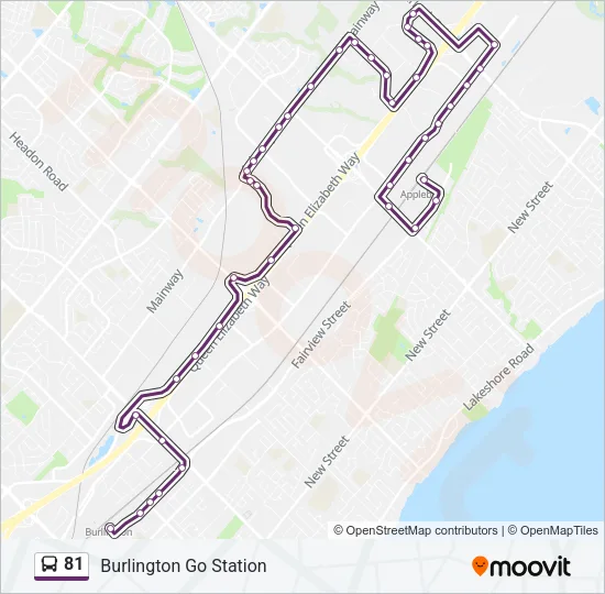 81 Bus Line Map