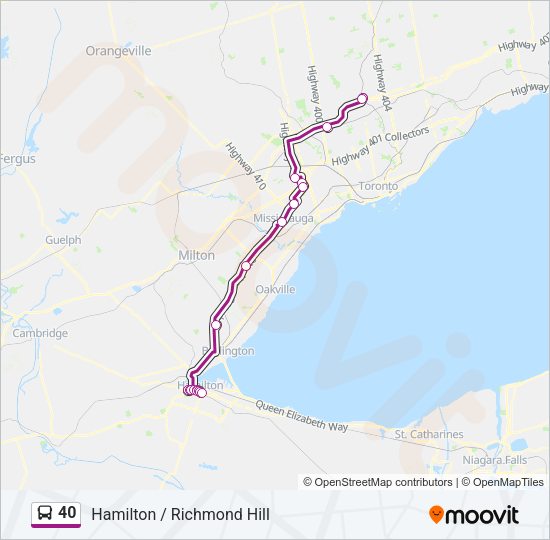 40 Bus Line Map