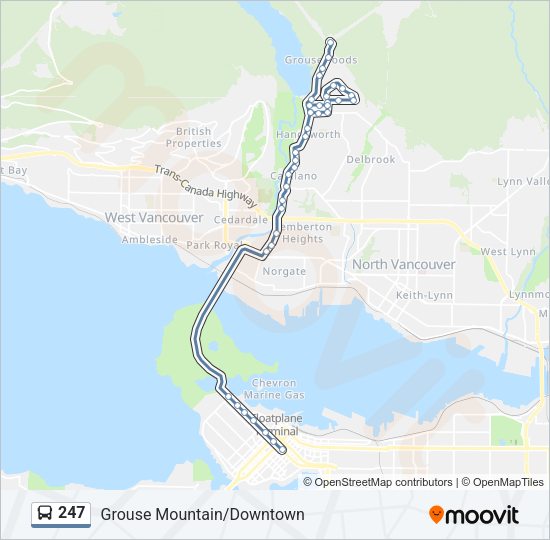 247 Bus Line Map
