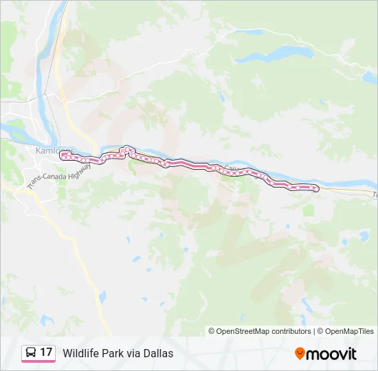 17 Bus Line Map