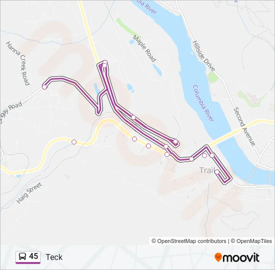 45 Bus Line Map
