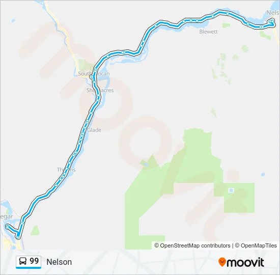 99 Bus Line Map