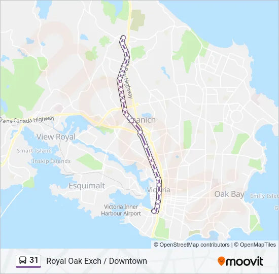 31 Bus Line Map