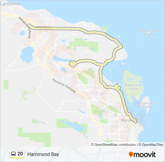 20 Bus Line Map